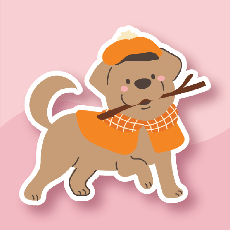 Brown Dog in Orange Beret with a Stick in mouth and orange jacket