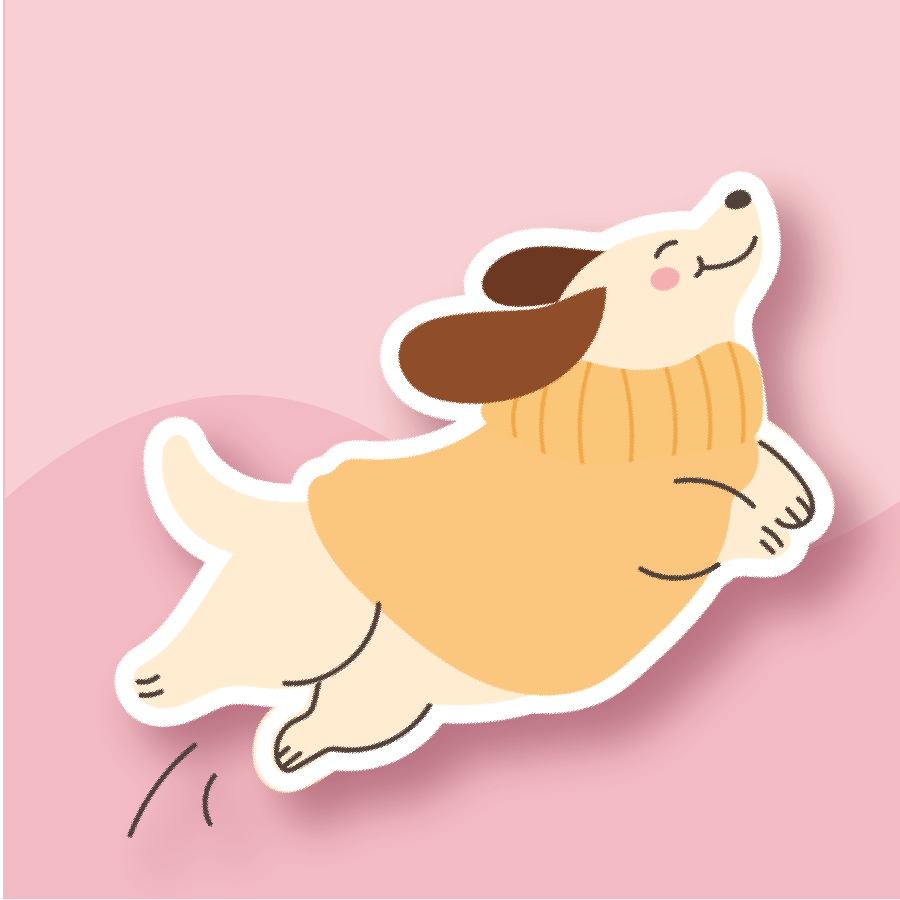 A playful dog mid-jump in a cozy sweater, full of energy and fall vibes.