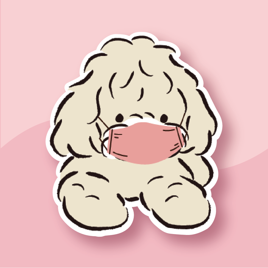 A shaggy, fluffy pup wearing a sweet pink mask