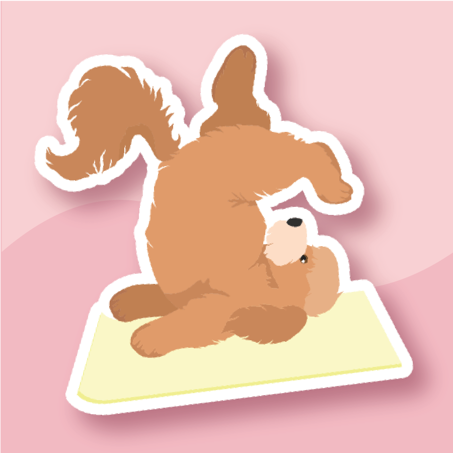 Golden Retriever Puppy in Downward Dog on a yellow yoga mat,