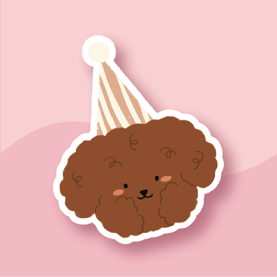 Brown Poodle in a stripped party hat