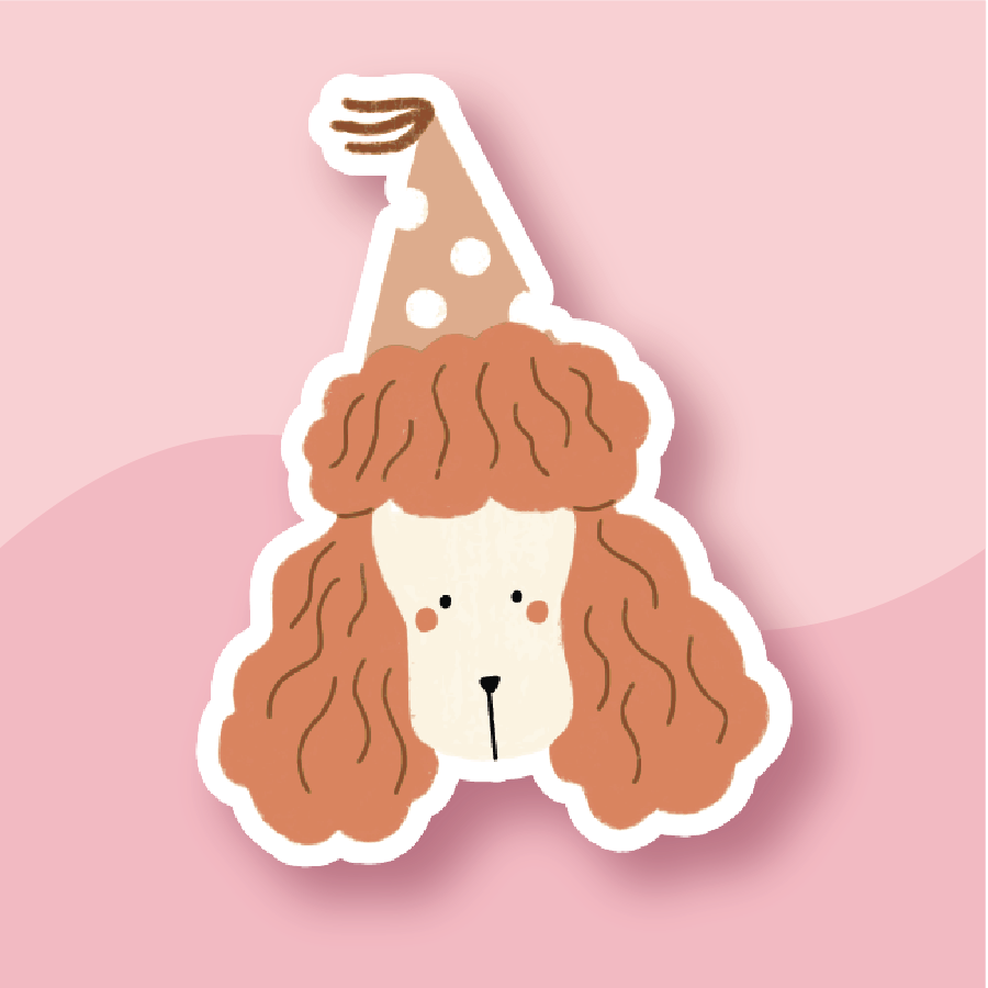 Pink long-haired poodle in a polka dot party hat