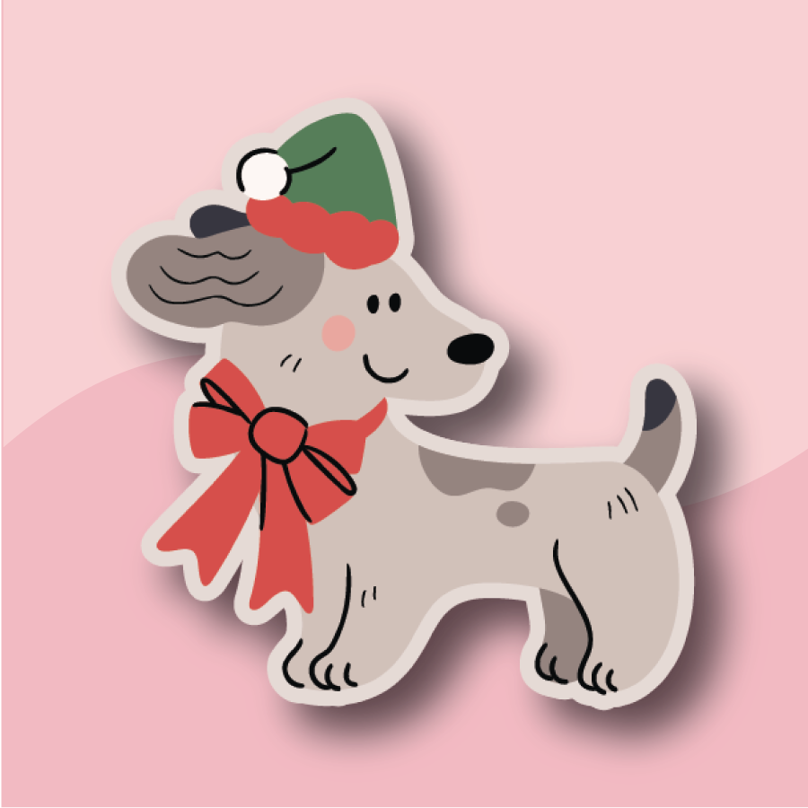 poodle in a green-and-red party hat, ready to celebrate in style