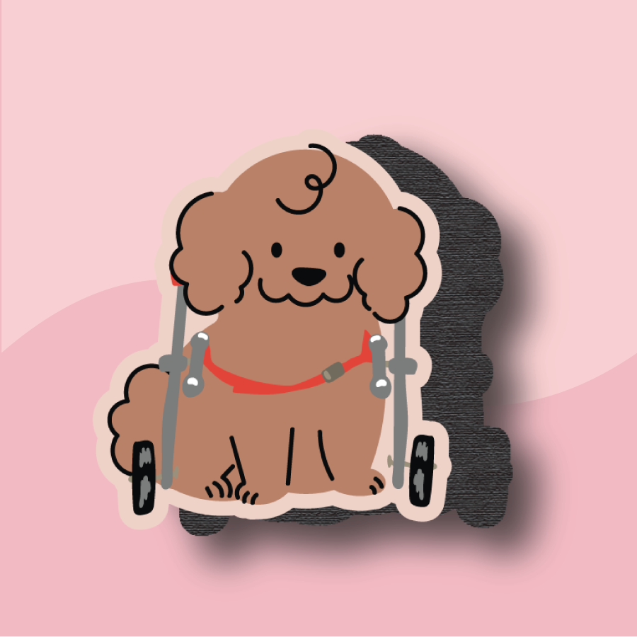 Pawsitively Bewitched Magnets