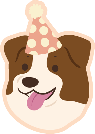 A brown and white border collie with its tongue sticking out, wearing a peach polka-dot party hat.