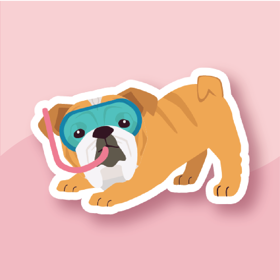 Summer Days Bulldog with Snorkel Gear Sticker - Premium Waterproof Laminated Die Cut Sticker - Just $5