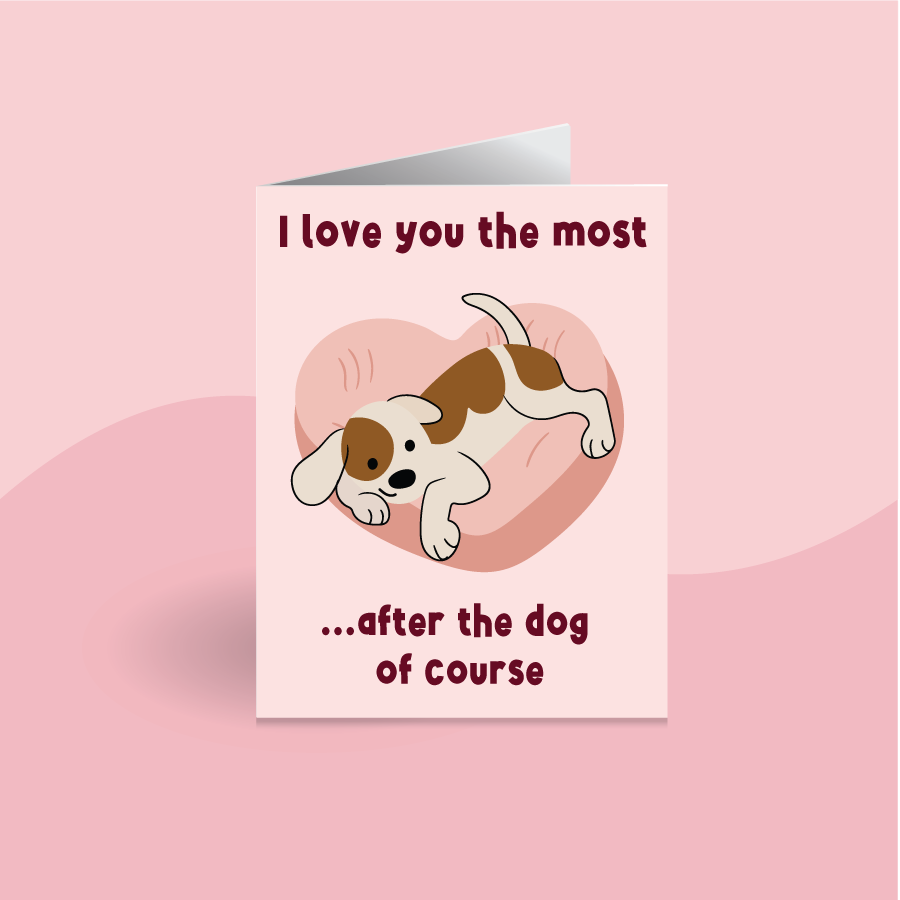 Valentine's Day Card Collection