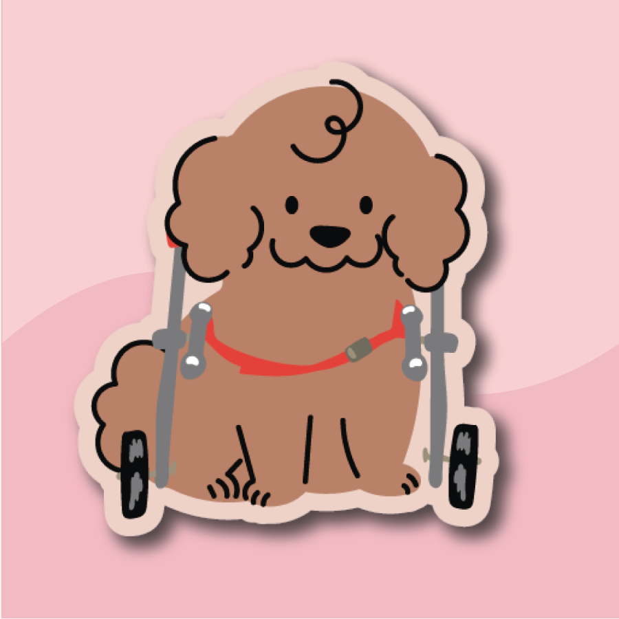 Pawsitively Bewitched Stickers